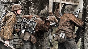 Waffen SS-soldater